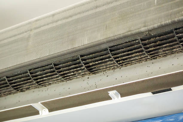 Best HVAC Duct Inspection Services  in Graton, CA